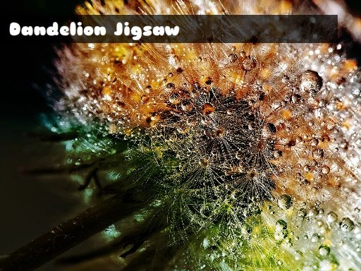 Dandelion Jigsaw
